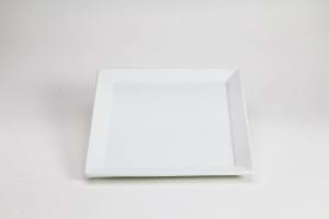 11inch square plate