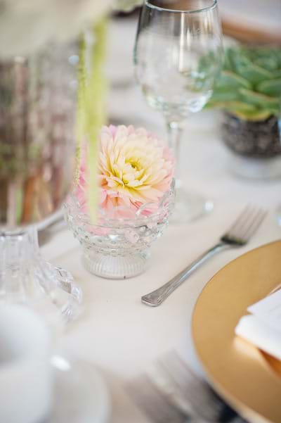 Wedding Tabletop