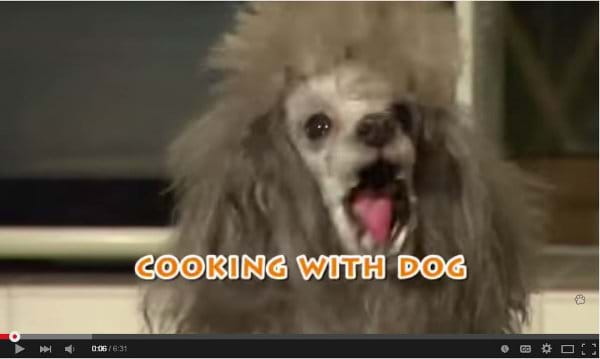 Cooking with Dog