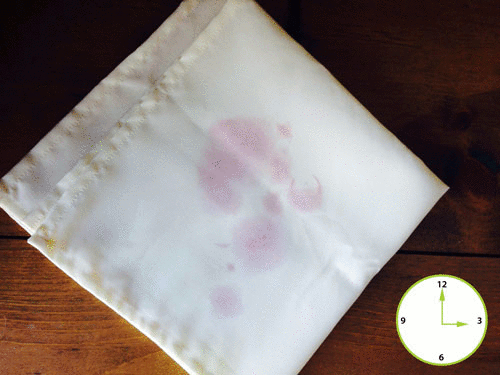 Red Wine on Tablecloth Overnight