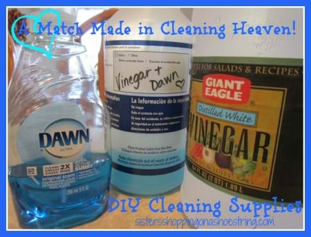 Dawn Dish Soap and Vinegar