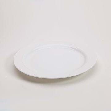 Picture of Polar White 10.5" Dinner Plate