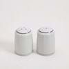 Picture of Avignon Platinum Salt and Pepper Shaker