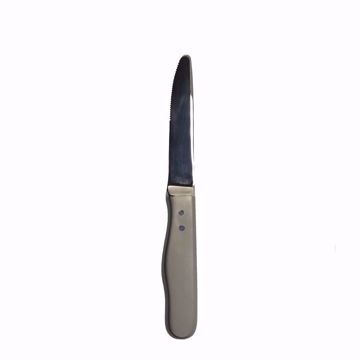 Hollow Handle Steak Knife