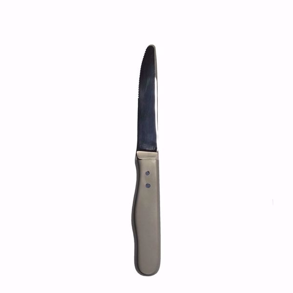 Hollow Handle Steak Knife