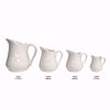 Line up of Creamer Sizes